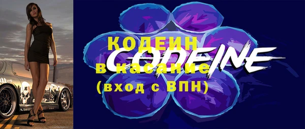 индика Балабаново