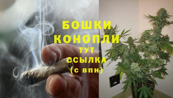 индика Балабаново