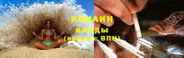индика Балабаново