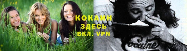индика Балабаново