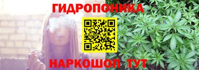 гашик Малоярославец