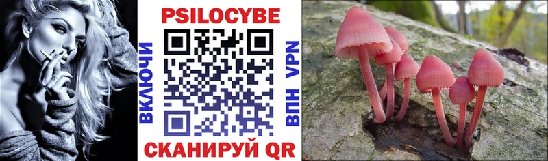 Галлюциногенные грибы Psilocybe  где купить   MEGA как зайти  Долгопрудный 