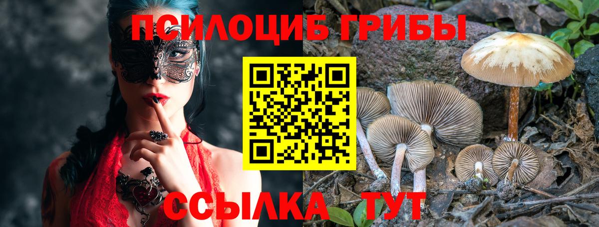 Галлюциногенные грибы Psilocybe  Вход с VPN  Галлюциногенные грибы мицелий  Долгопрудный 