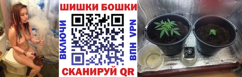 мега ONION  Долгопрудный  Марихуана гибрид 